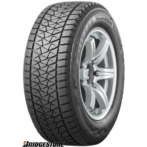 Bridgestone Blizzak DM V2 ( 215/80 R15 102R, Nordic compound ) Slike