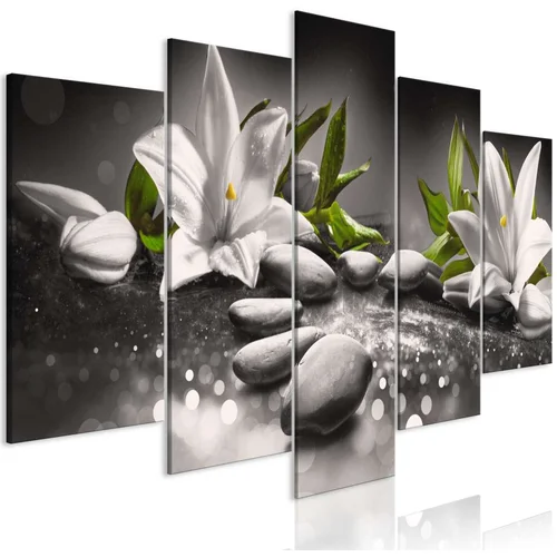  Slika - Lilies and Stones (5 Parts) Wide Grey 200x100