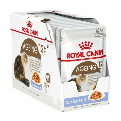 Royal Canin cat ageing +12 in jelly 12 x 85 g Cene
