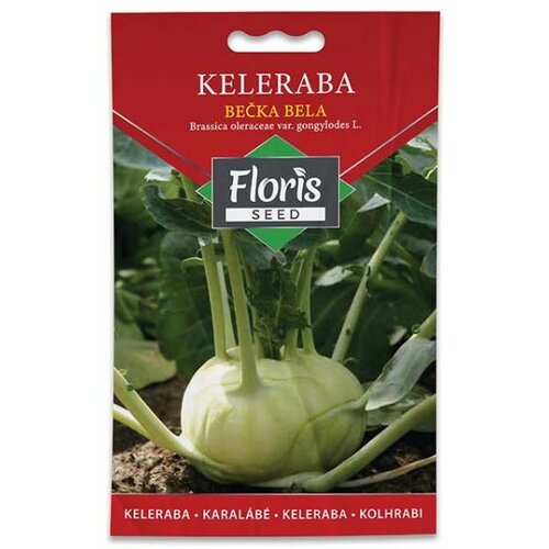 Floris seme povrće-keleraba bečka bela 1g FL Slike