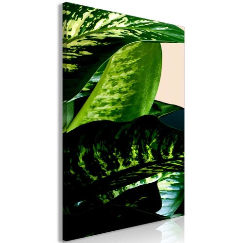 Slika - Dieffenbachia (1 Part) Vertical 80x120 Cijene