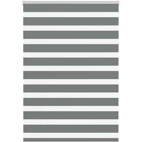 vidaXL Zebra senčilo temno sivo 105x150 cm tkanina širina 100,9 cm Cene