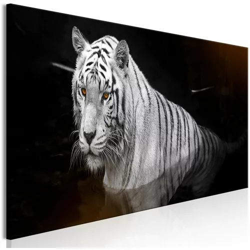  Slika - Shining Tiger (1 Part) Orange Narrow 120x40