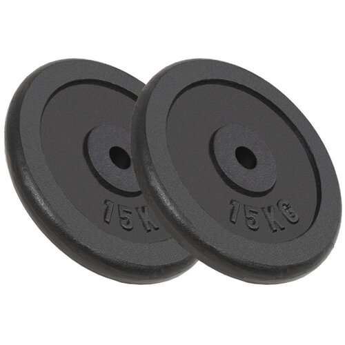 vidaXL Uteži 2 kosa 2x15 kg lito železo Cene