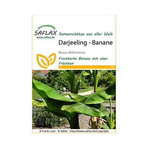 Saflax Darjeeling - banana Cene