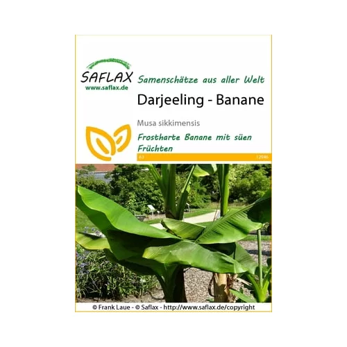 Saflax Darjeeling - banana