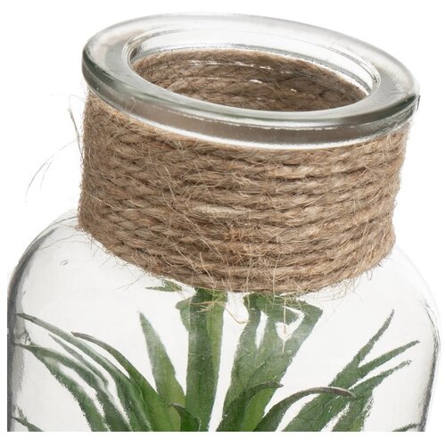 Casa Selecci&amp;oacute;n Umetne rastline v kompletu 4 ks (vi&amp;scaron;ina 12 cm) Cactus &amp;ndash; Slike