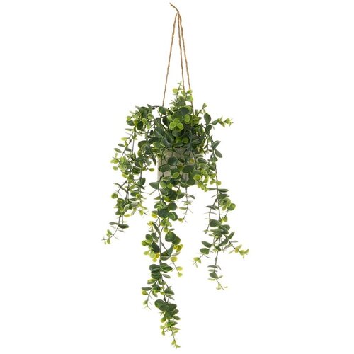 Casa Selecci&amp;oacute;n Umjetna biljka Fern &amp;ndash; Slike