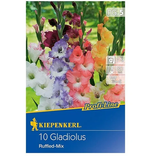 KIEPENKERL Lukovice ljetnog cvijeća Gladiola (10 Kom.)