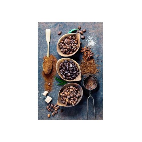 Conceptum Hypnose tepih (160x230) Hmnt581 Cene