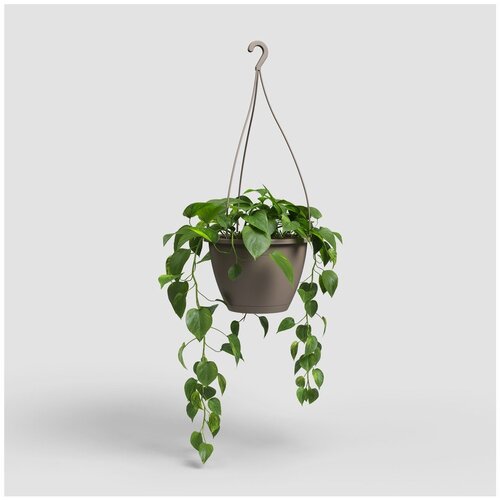 Artevasi Plastičen cvetlični lonec &amp;oslash; 31 cm Algarve &amp;ndash; Slike
