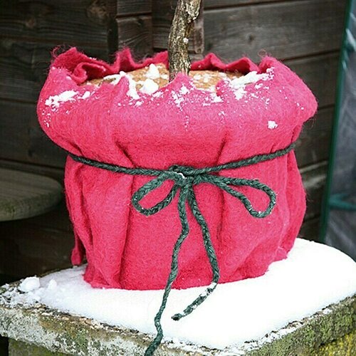 Flora World Classic Platno od jute (Crvene boje, Duljina: 150 cm) Slike