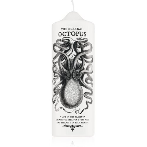 CORETERNO Visionary Octopus sveča 7x20 cm Slike