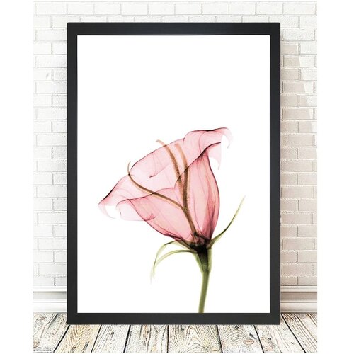Tablo Center Slika Tableau Center Bloom, 24 x 29 cm Slike