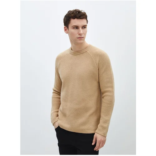 LC Waikiki Crew Neck Long Sleeve Men's Knitwear Sweater