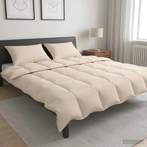  Set deka 2 kom. 200 x 220 cm 250 gsm Prirodni kapok Bež - 200 x 220 cm 70 x 90 cm Cijene