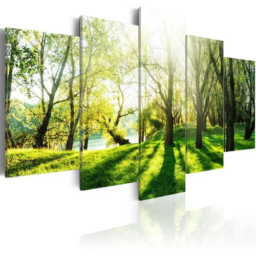  Slika - Green Glade 100x50 Slike