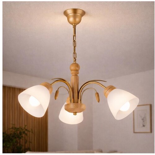  Luster na lancu TULIPAN 3xE27/60W/230V hrast Cene