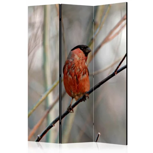  Paravan u 3 dijela - Bullfinch in the forest [Room Dividers] 135x172