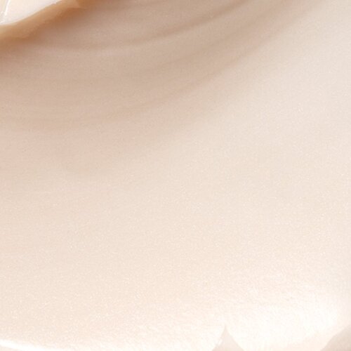 Payot Supr&amp;ecirc;me Absolu učvr&amp;scaron;ćujuća krema protiv bora 50 ml Slike