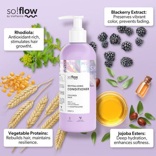 SoFlow Revitalizing Conditioner revitalizacijski balzam za barvane lase 400 ml Slike