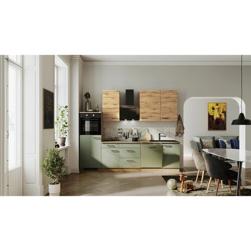 Flex-Well Kuhinjski Blok Z Aparati Cara, Zelena, Barva Hrasta Cene