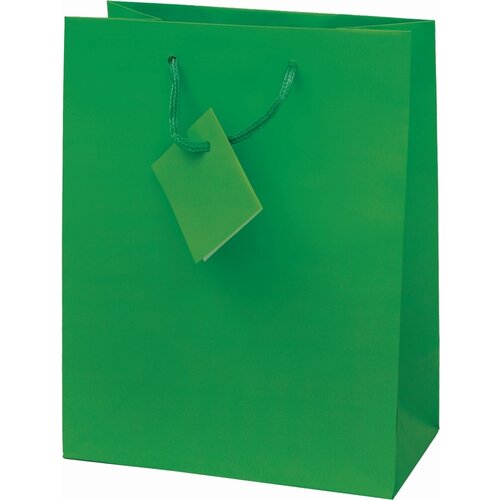  Vrečka darilna plast. mat a5 22,9x9,8x17,8 PROMOCIJA - ZELENA Cene