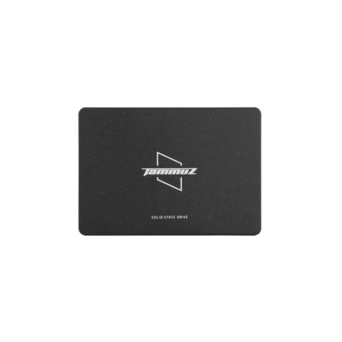 Tammuz GK350 256GB SSD