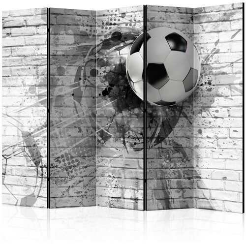  Paravan u 5 dijelova - Dynamic Football II [Room Dividers] 225x172 Cijene