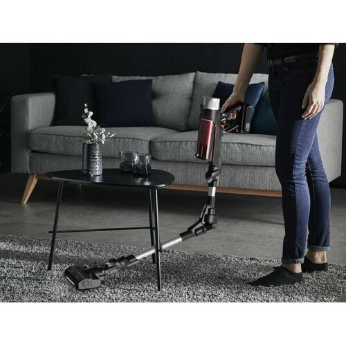  pokončni sesalnik RH2077WO X-Force Flex 9.60 Animal Slike