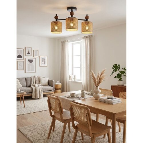 Opviq luster Neptun Wood 3 Wicker, 3 &times; E27, crni Cene