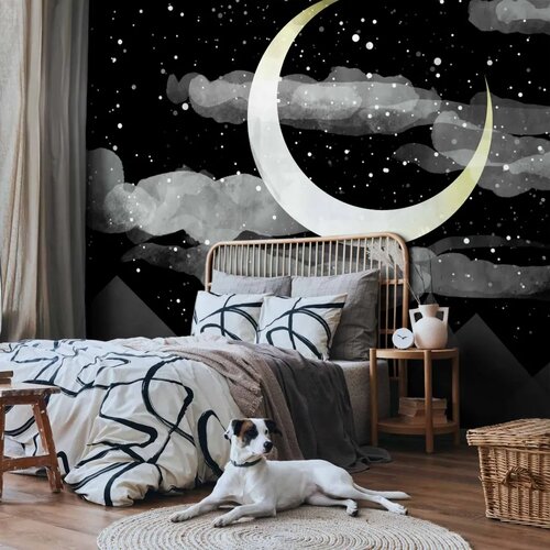  Foto tapeta - Night Glow 100x70 Standard Cijene