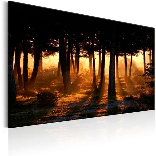  Slika - Forest Dawn 120x80 Cijene
