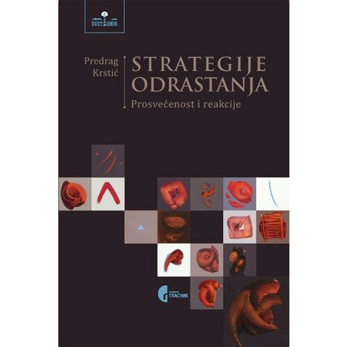 Službeni Glasnik Predrag Krstić - Strategije odrastanja Slike