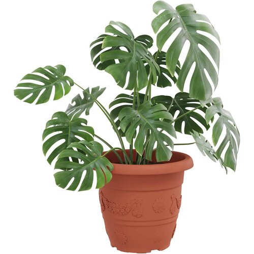  Okrugla saksija za cveće 6 pcs Crvena cigla &amp;Oslash; 34 x 28 cm Slike