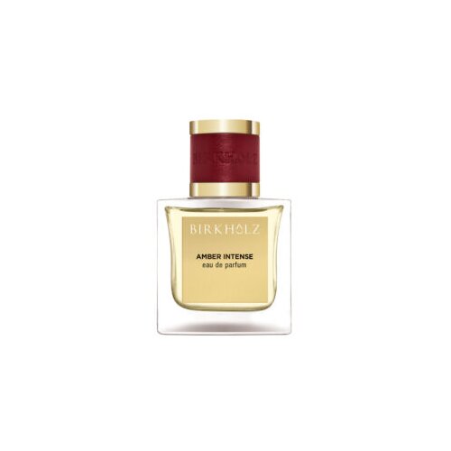 Birkholz amber intense eau de parfum 100ml Cene