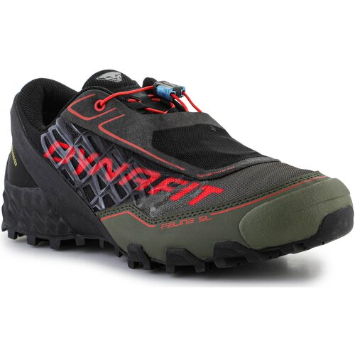 Dynafit Tek & Trail Feline SL GTX 64056-0762 Winter moss/Black out Zelena Cene