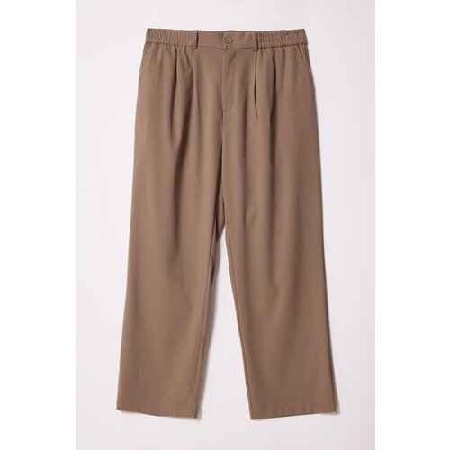 Trendyol Plus Size Beige Wideleg Fabric Trousers Cene