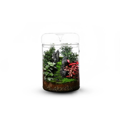  Luji Glass Cup MY-120H - 1 k. Cene