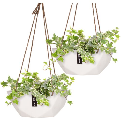 Blumfeldt laren, viseći cvjetnjaci, &amp;Oslash; 28 cm, Polystone, prirodna užad, set od 2 komada Slike