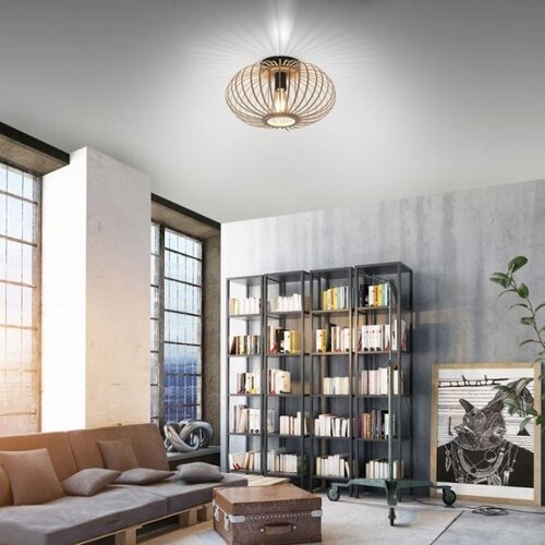 LEUCHTEN DIREKT 11410-79 - Plafonski luster RACOON 1xE27/40W/230V prečnik 40 cm Slike