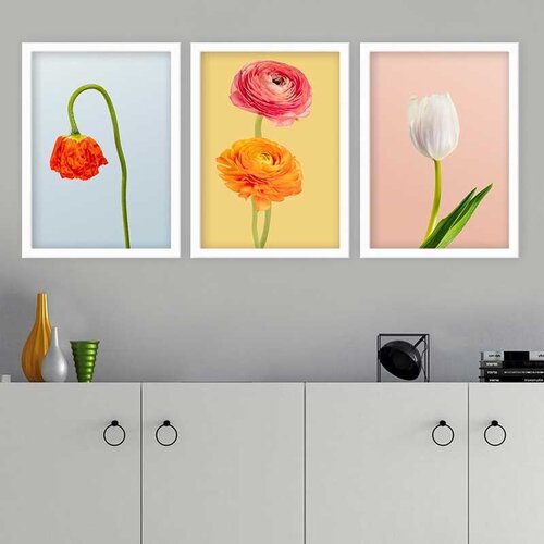 Wallity Set uramljenih slika 3BC_41955467, 3 Dela Cene