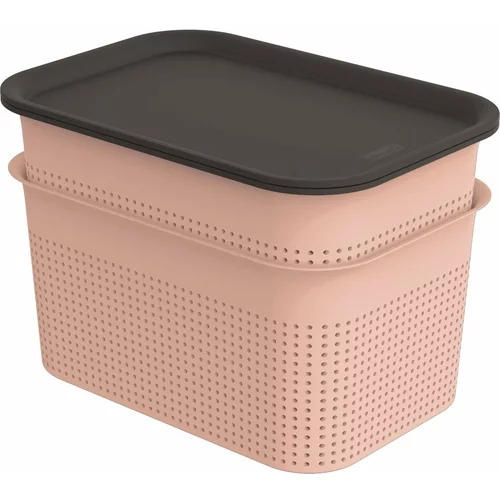 Rotho Svijetlo ružičaste plastične kutije za pohranu u setu 2 kom s poklopcem 18,5x26,5x18 cm Brisen –