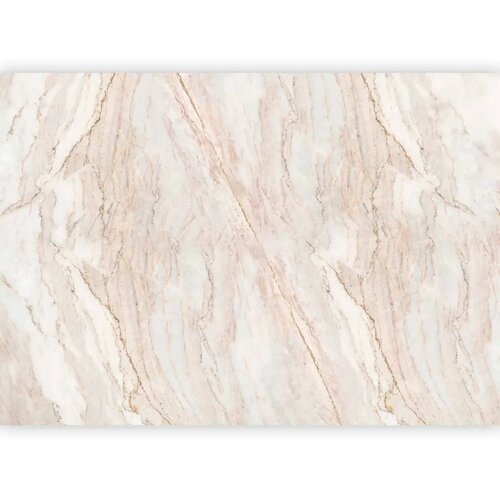  Foto tapeta - Noble Stone 350x256 Cene