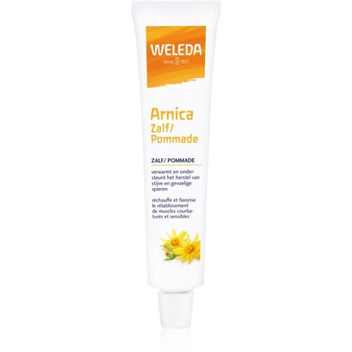 Weleda Arnica Ointment mazilo ki pospešuje regeneracijo po povečani telesni aktivnosti 25 g Cene