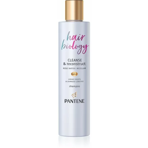 Pantene Hair Biology Cleanse & Reconstruct šampon za mastne lase 250 ml