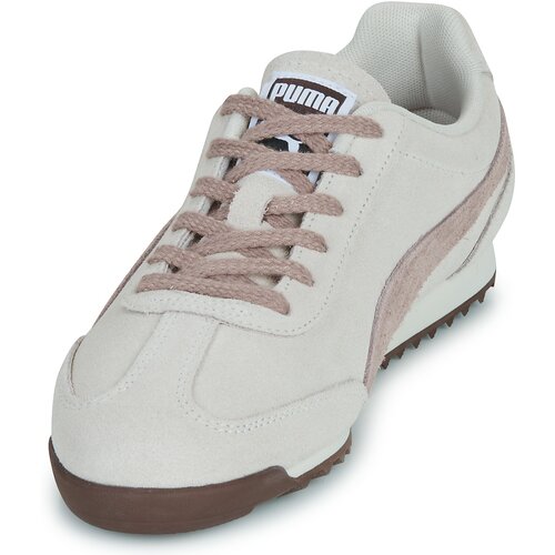 Puma Nizke superge Arizona SD Bež Slike