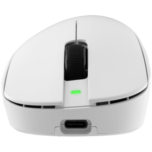 Eshark WS Premium WGM 9013 CAMILLUS W Wireless Slike