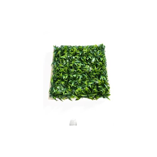  Bolzz Zeleni zid 3d garden 50x50 cm BolzzIDGARDEN Cene