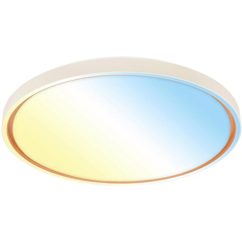 XXXL stropna led-svetilka ino /5200 lm/3000-6500 k// Cene